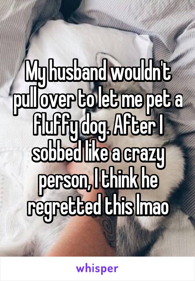 My husband wouldn't pull over to let me pet a fluffy dog. After I sobbed like a crazy person, I think he regretted this lmao