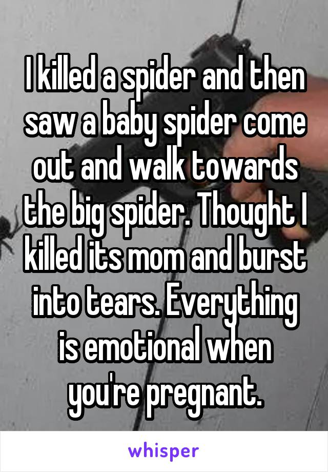 I killed a spider and then saw a baby spider come out and walk towards the big spider. Thought I killed its mom and burst into tears. Everything is emotional when you're pregnant.