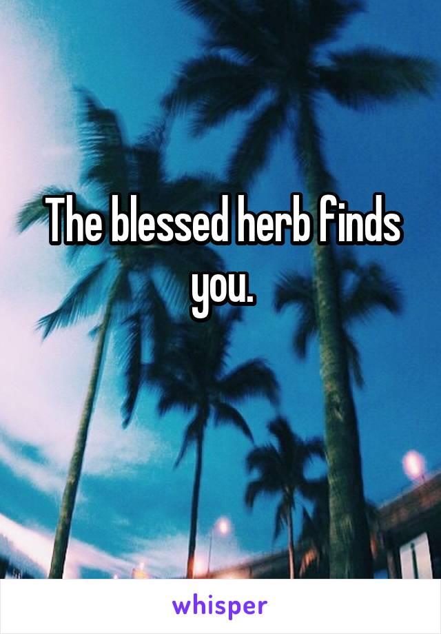 The blessed herb finds you.


