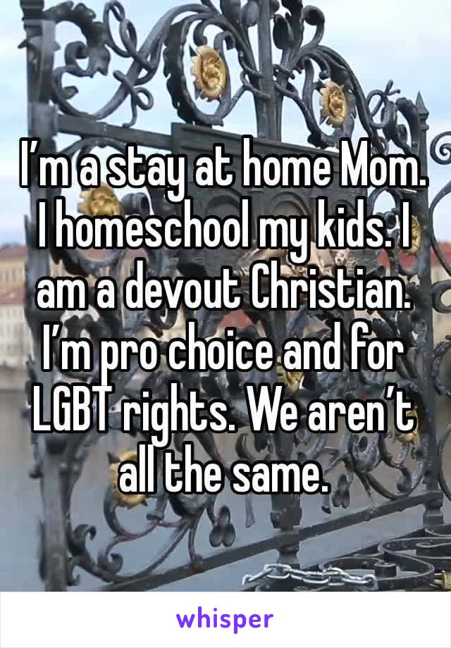 I’m a stay at home Mom. I homeschool my kids. I am a devout Christian. I’m pro choice and for LGBT rights. We aren’t all the same. 