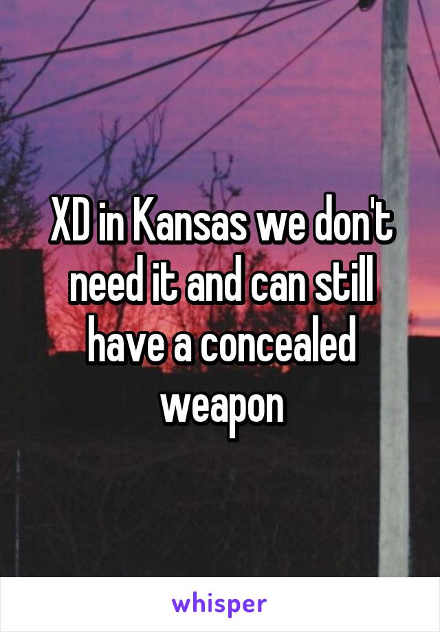 XD in Kansas we don't need it and can still have a concealed weapon