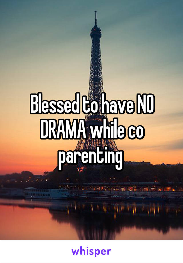 Blessed to have NO DRAMA while co parenting 