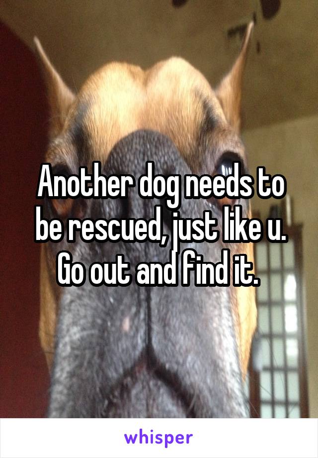 Another dog needs to be rescued, just like u. Go out and find it. 