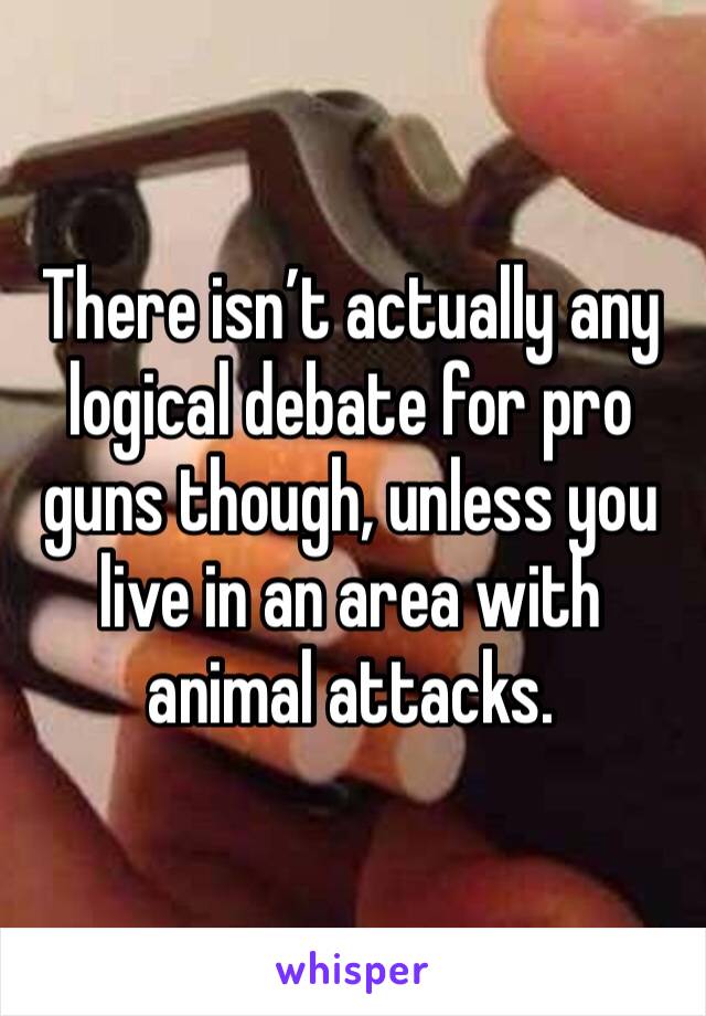 There isn’t actually any logical debate for pro guns though, unless you live in an area with animal attacks.