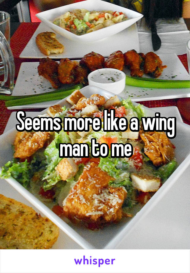 Seems more like a wing man to me