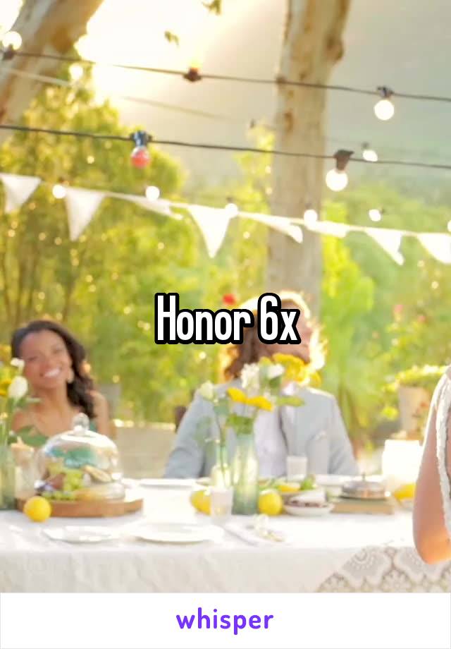 Honor 6x