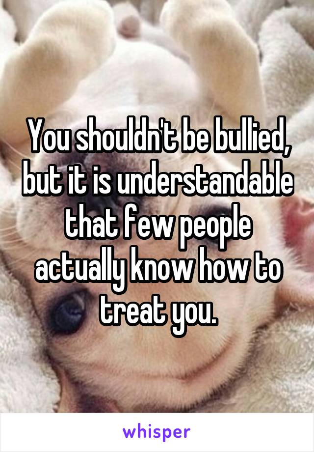 You shouldn't be bullied, but it is understandable that few people actually know how to treat you.