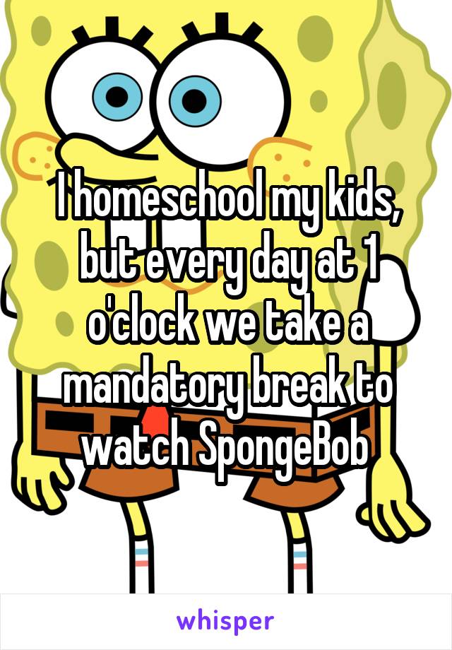 I homeschool my kids, but every day at 1 o'clock we take a mandatory break to watch SpongeBob 