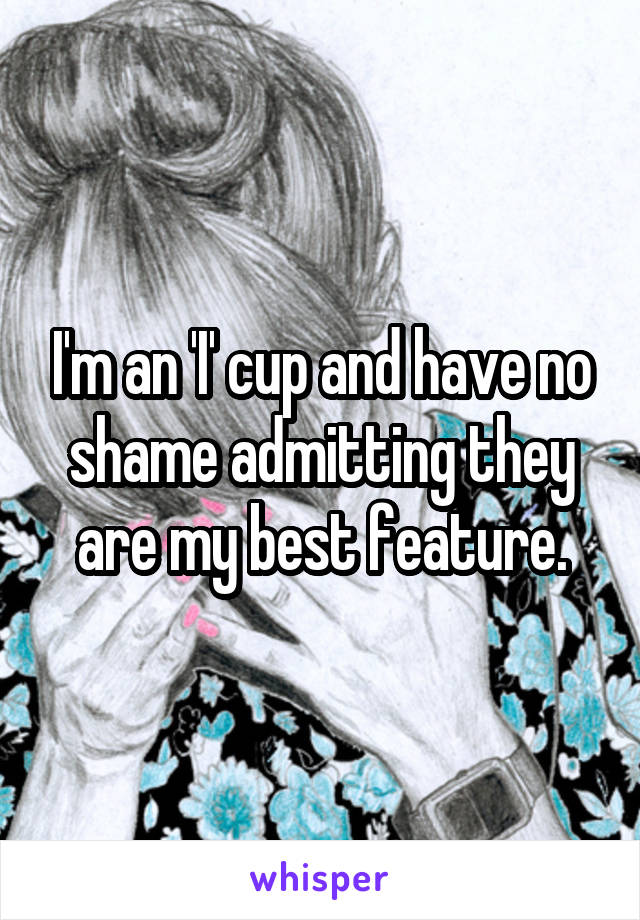 I'm an 'I' cup and have no shame admitting they are my best feature.