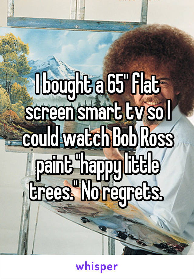 I bought a 65" flat screen smart tv so I could watch Bob Ross paint "happy little trees." No regrets. 