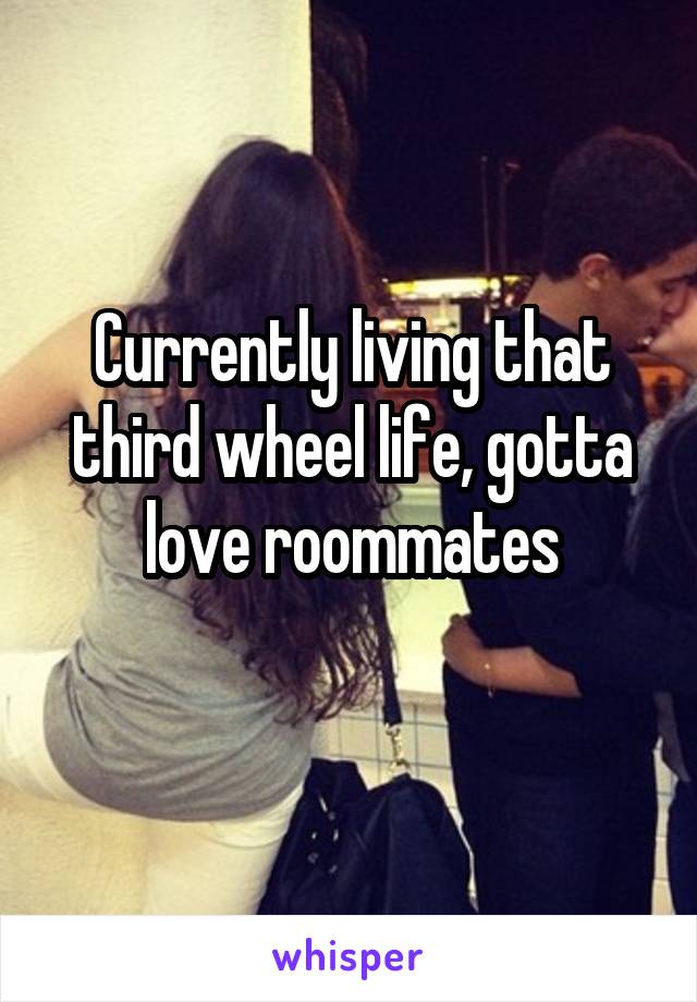 Currently living that third wheel life, gotta love roommates
