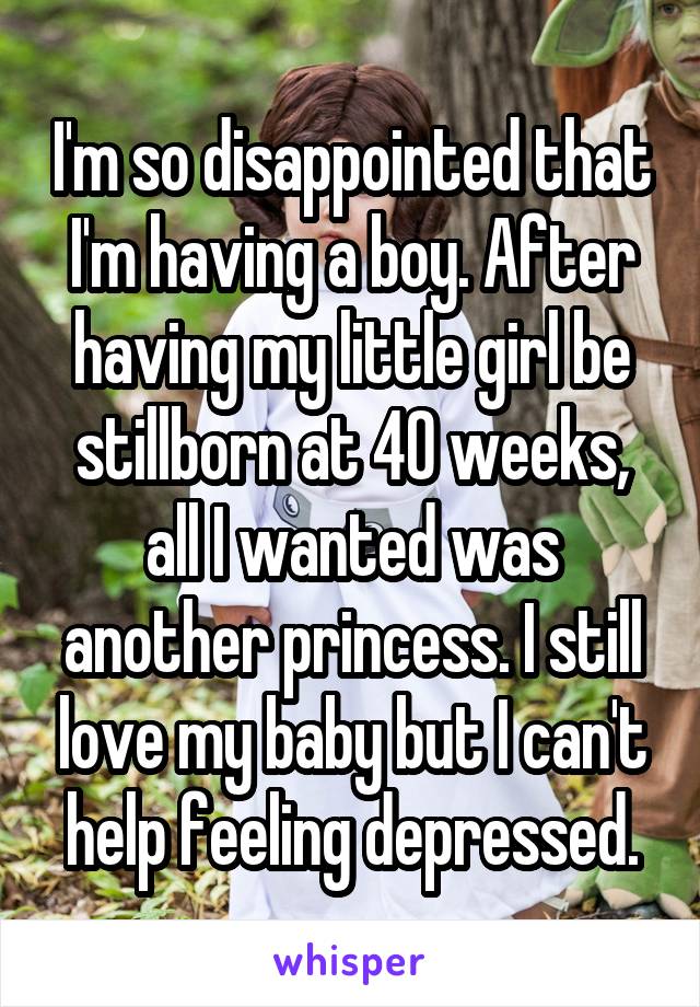 I'm so disappointed that I'm having a boy. After having my little girl be stillborn at 40 weeks, all I wanted was another princess. I still love my baby but I can't help feeling depressed.