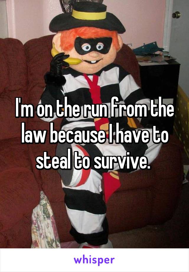 I'm on the run from the law because I have to steal to survive. 