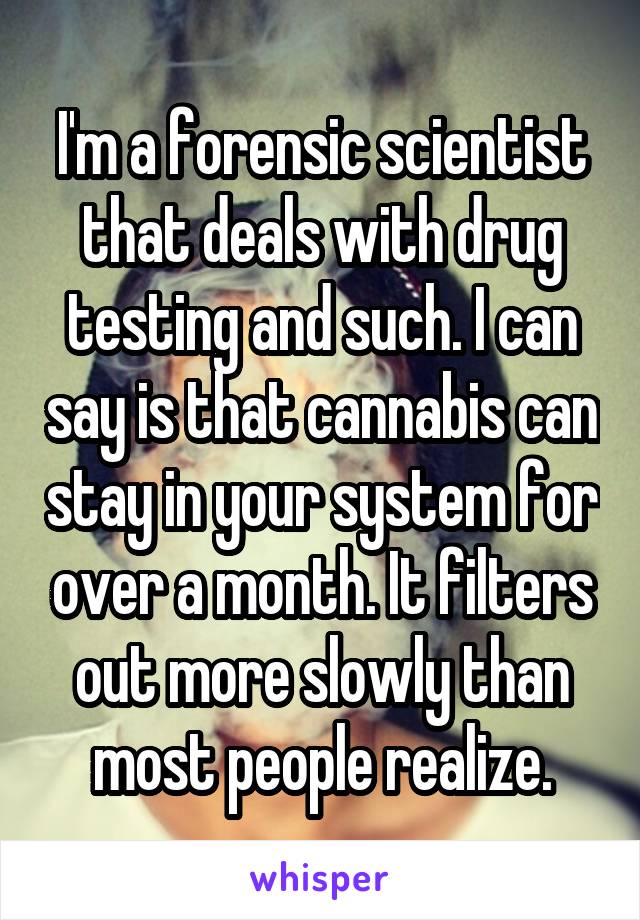 I'm a forensic scientist that deals with drug testing and such. I can say is that cannabis can stay in your system for over a month. It filters out more slowly than most people realize.