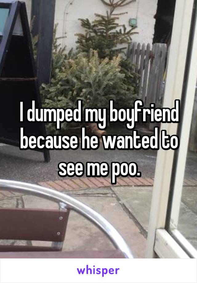 I dumped my boyfriend because he wanted to see me poo.