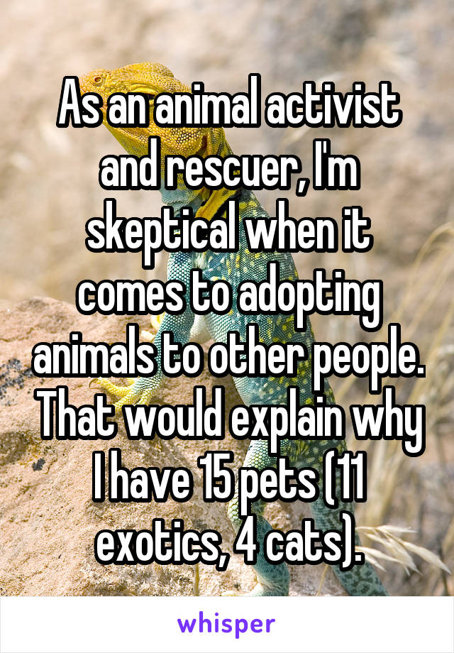 As an animal activist and rescuer, I'm skeptical when it comes to adopting animals to other people. That would explain why I have 15 pets (11 exotics, 4 cats).