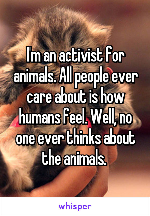 I'm an activist for animals. All people ever care about is how humans feel. Well, no one ever thinks about the animals. 