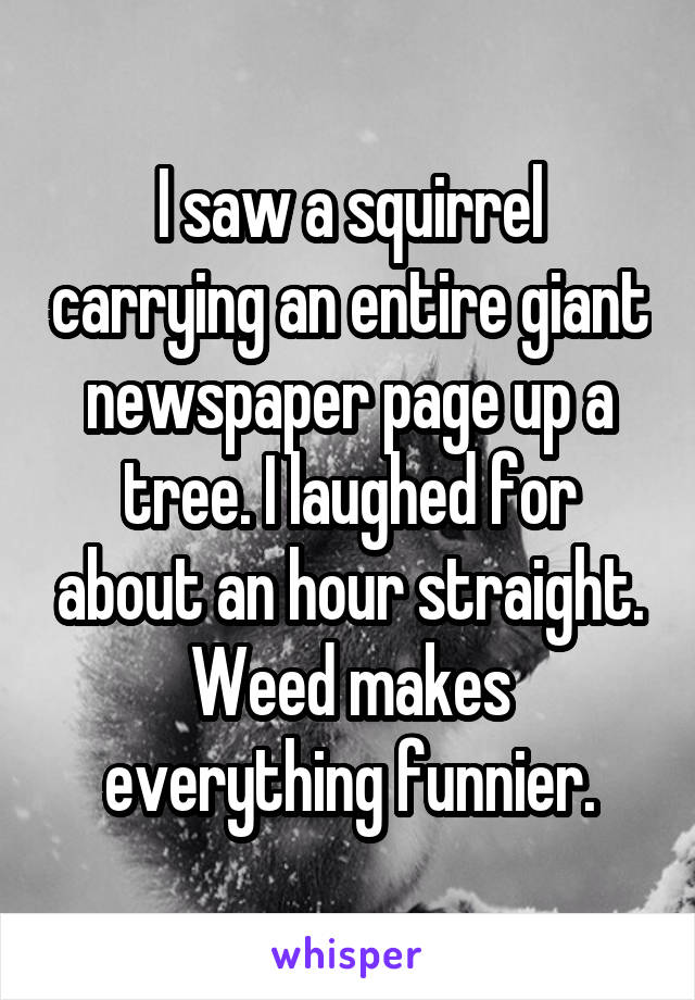 I saw a squirrel carrying an entire giant newspaper page up a tree. I laughed for about an hour straight. Weed makes everything funnier.