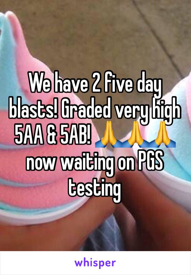 We have 2 five day blasts! Graded very high 5AA & 5AB! 🙏🙏🙏now waiting on PGS testing 