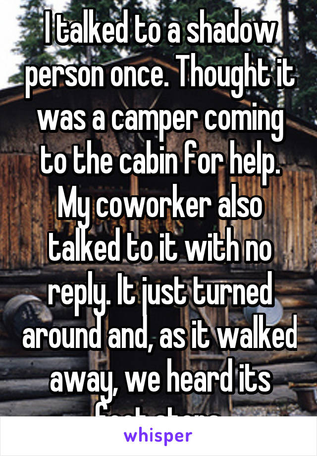 I talked to a shadow person once. Thought it was a camper coming to the cabin for help. My coworker also talked to it with no reply. It just turned around and, as it walked away, we heard its foot steps.