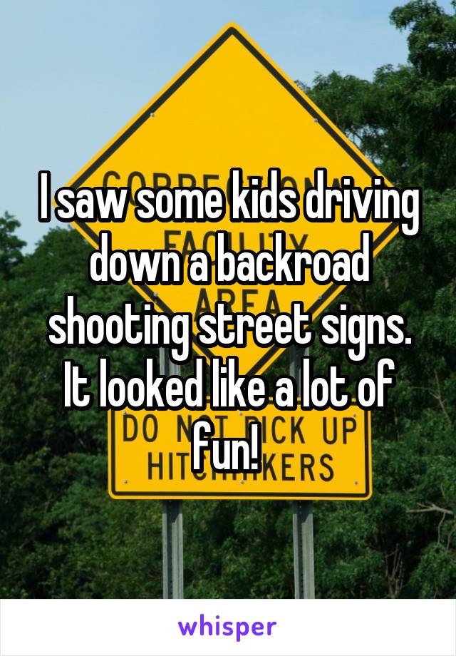 I saw some kids driving down a backroad shooting street signs. It looked like a lot of fun! 