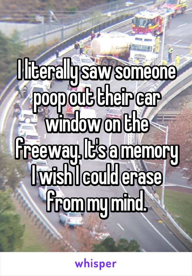 I literally saw someone poop out their car window on the freeway. It's a memory I wish I could erase from my mind.