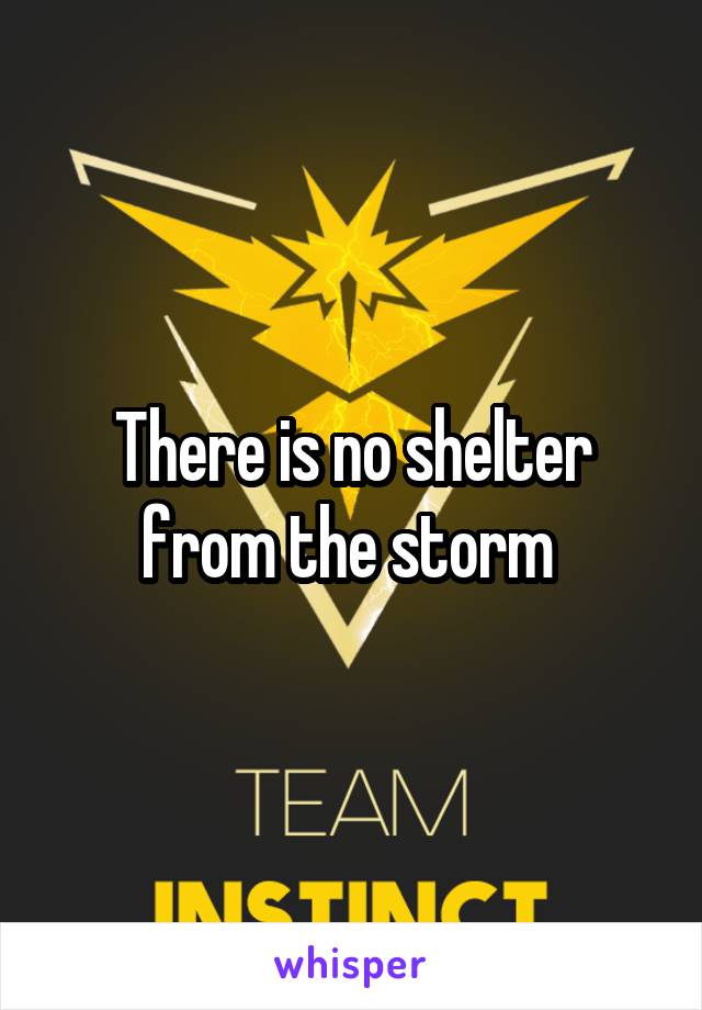 There is no shelter from the storm 