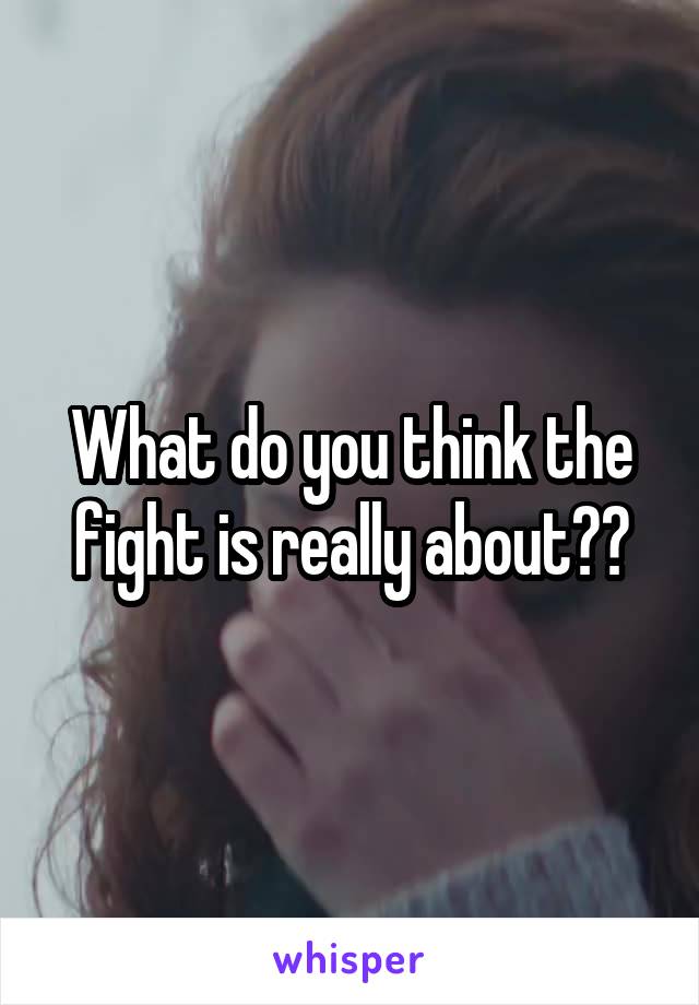 What do you think the fight is really about??