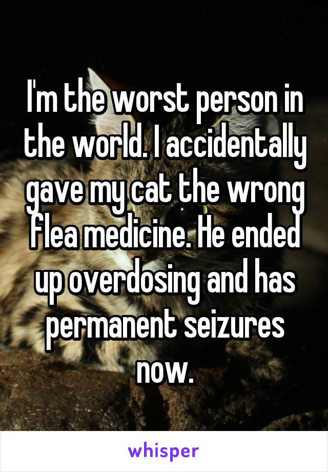 I'm the worst person in the world. I accidentally gave my cat the wrong flea medicine. He ended up overdosing and has permanent seizures now.
