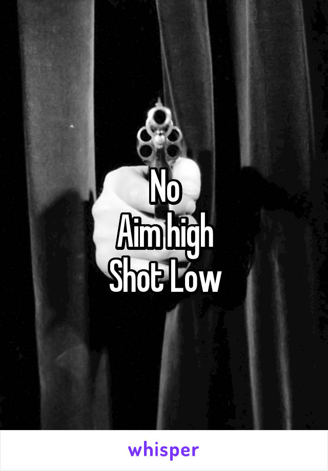 No
Aim high
Shot Low