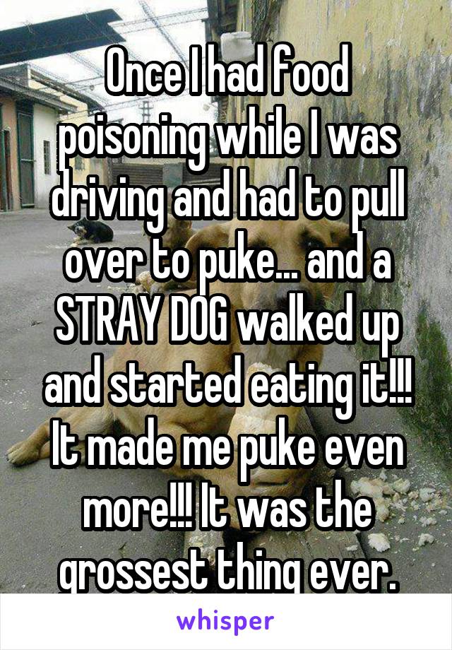 Once I had food poisoning while I was driving and had to pull over to puke... and a STRAY DOG walked up and started eating it!!! It made me puke even more!!! It was the grossest thing ever.