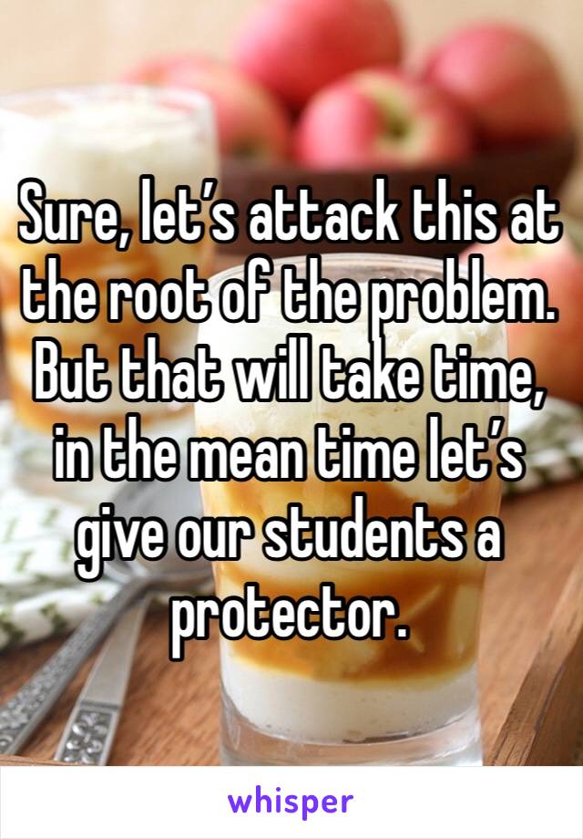 Sure, let’s attack this at the root of the problem. But that will take time, in the mean time let’s give our students a protector.