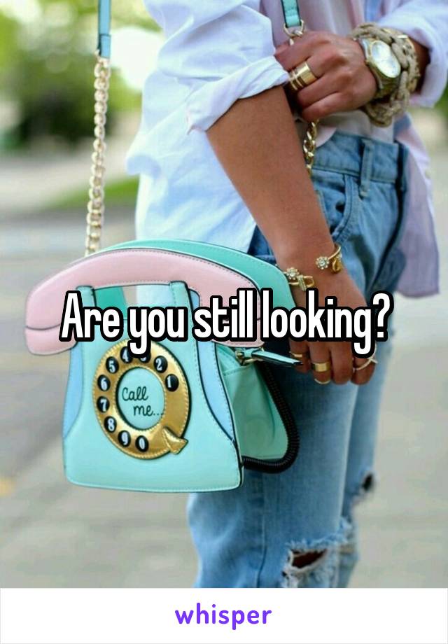 Are you still looking?