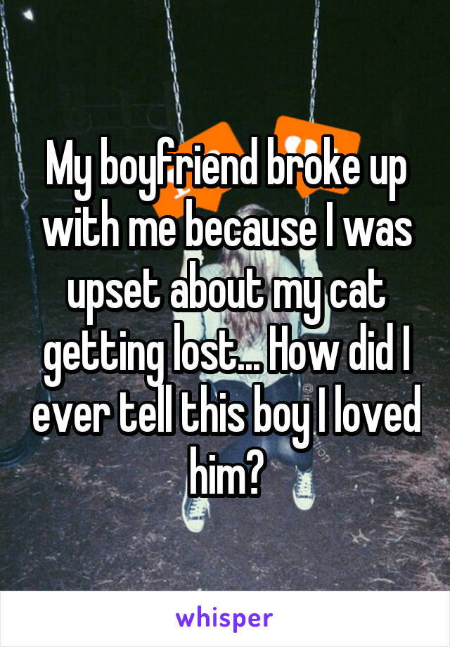 My boyfriend broke up with me because I was upset about my cat getting lost... How did I ever tell this boy I loved him?