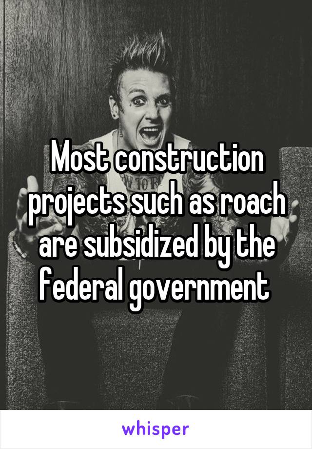 Most construction projects such as roach are subsidized by the federal government 