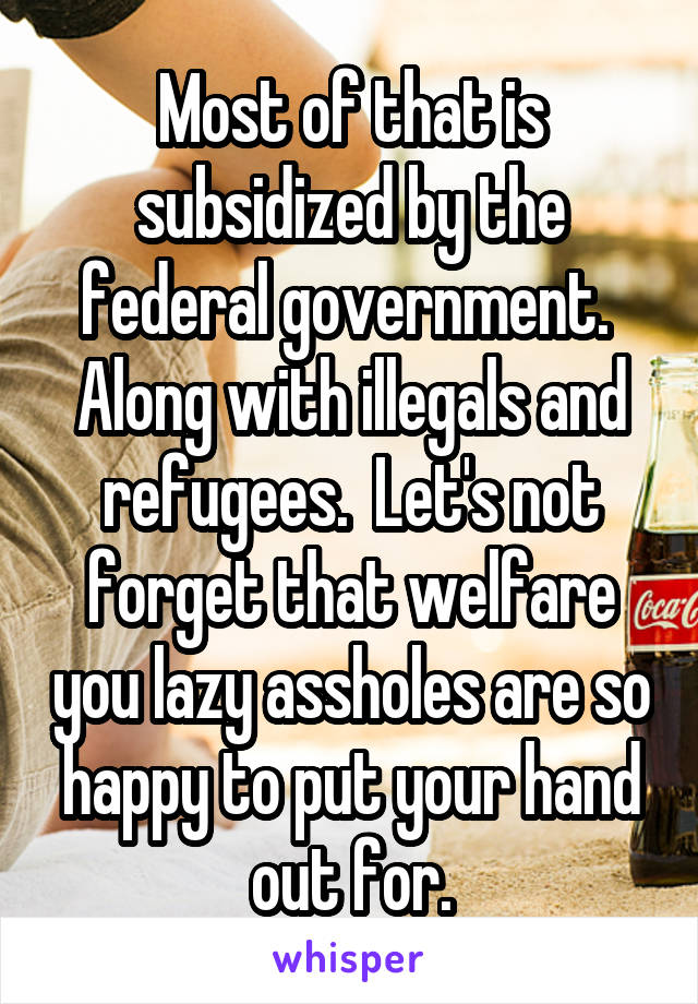 Most of that is subsidized by the federal government.  Along with illegals and refugees.  Let's not forget that welfare you lazy assholes are so happy to put your hand out for.