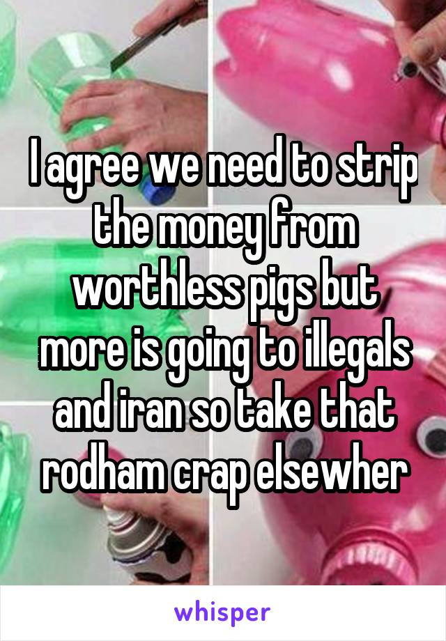 I agree we need to strip the money from worthless pigs but more is going to illegals and iran so take that rodham crap elsewher