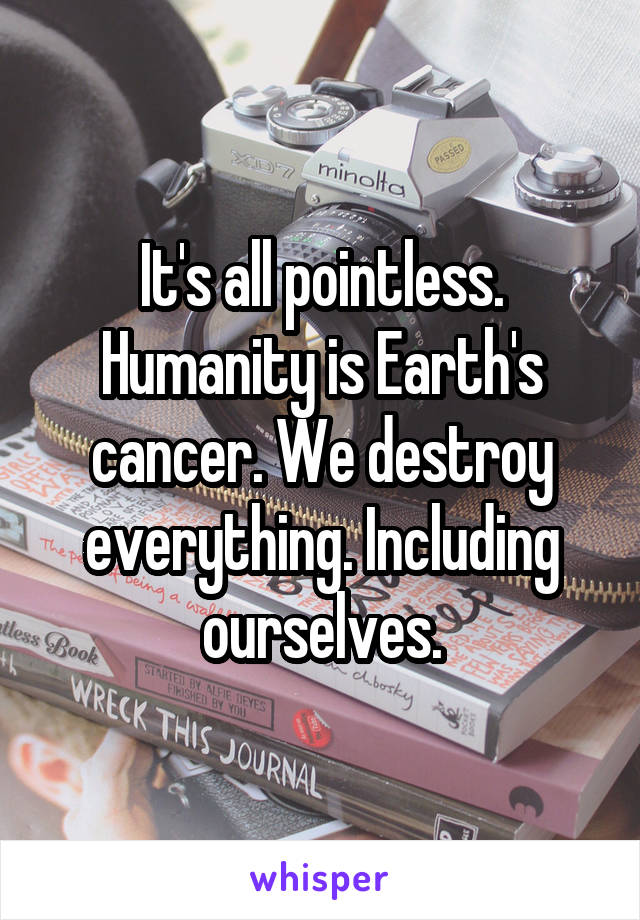 It's all pointless. Humanity is Earth's cancer. We destroy everything. Including ourselves.