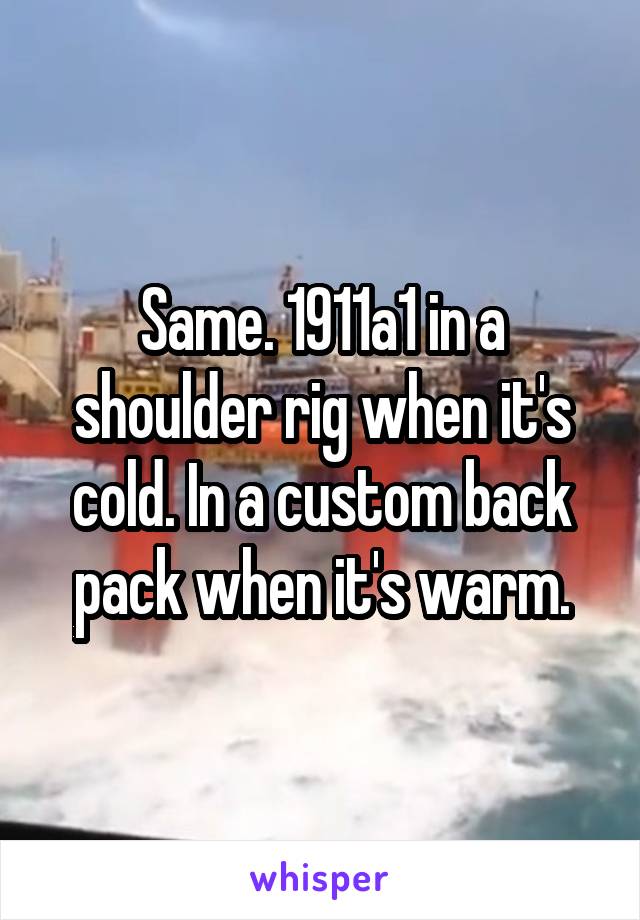 Same. 1911a1 in a shoulder rig when it's cold. In a custom back pack when it's warm.