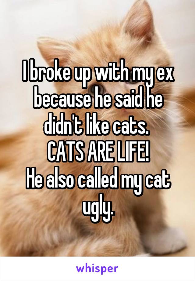 I broke up with my ex because he said he didn't like cats. 
CATS ARE LIFE!
He also called my cat ugly.