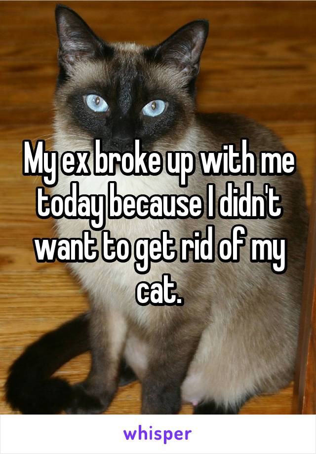 My ex broke up with me today because I didn't want to get rid of my cat.