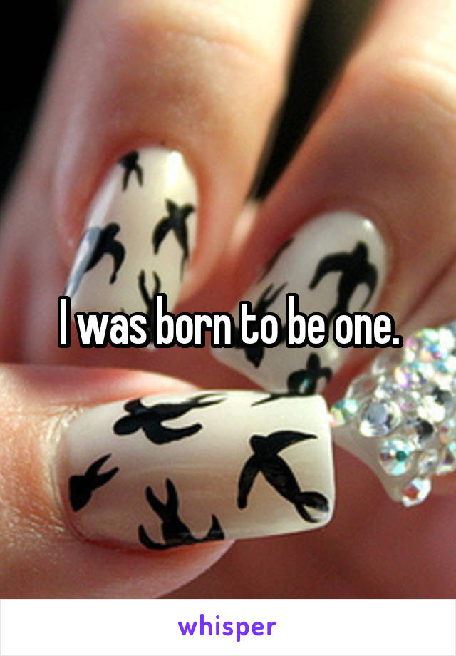 I was born to be one.