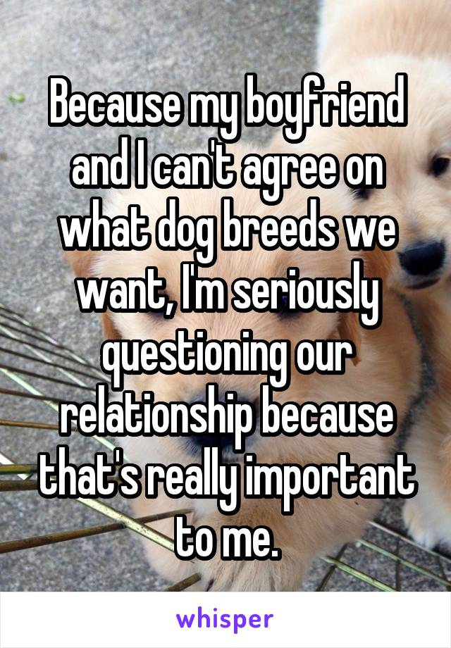 Because my boyfriend and I can't agree on what dog breeds we want, I'm seriously questioning our relationship because that's really important to me.