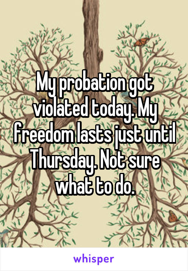 My probation got violated today. My freedom lasts just until Thursday. Not sure what to do.