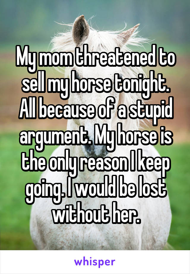 My mom threatened to sell my horse tonight. All because of a stupid argument. My horse is the only reason I keep going. I would be lost without her.
