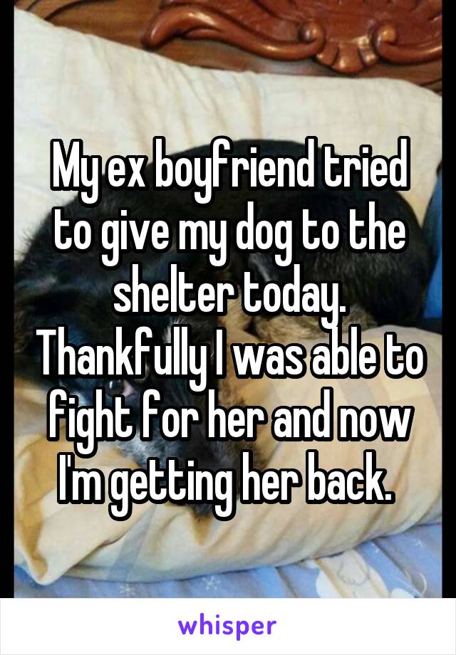 My ex boyfriend tried to give my dog to the shelter today. Thankfully I was able to fight for her and now I'm getting her back. 