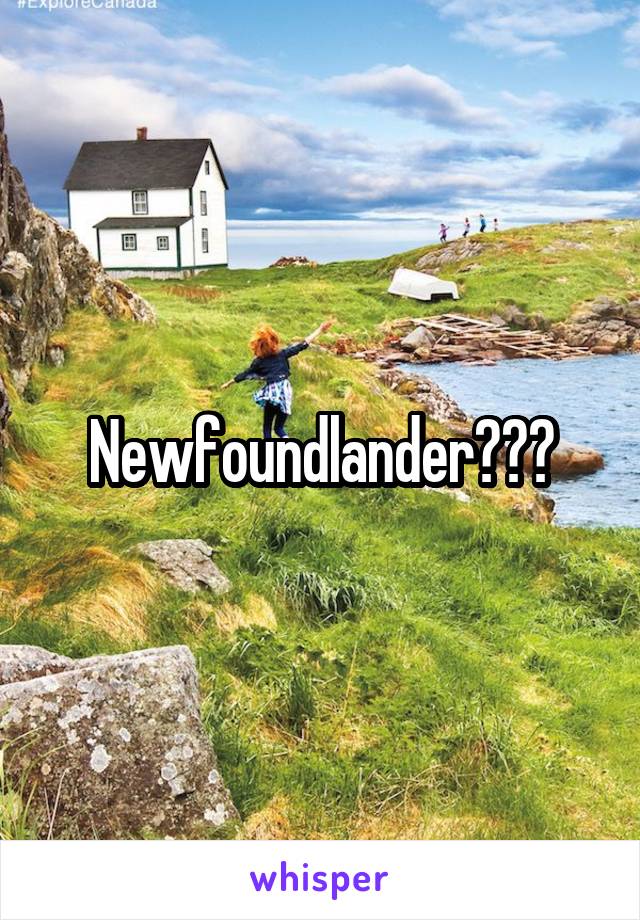 Newfoundlander???