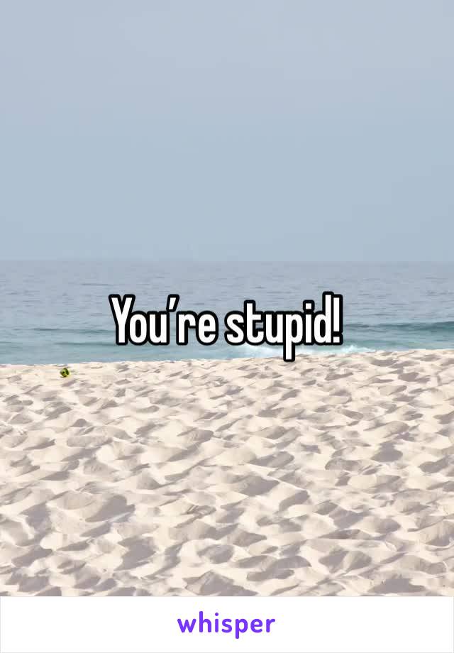 You’re stupid!