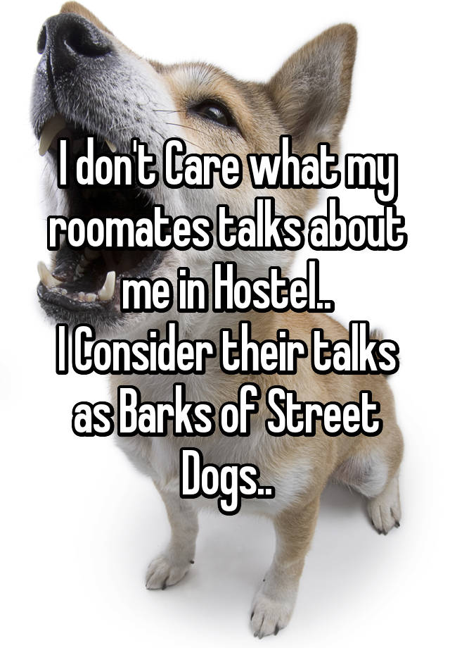 I don't Care what my roomates talks about me in Hostel..
I Consider their talks as Barks of Street Dogs..