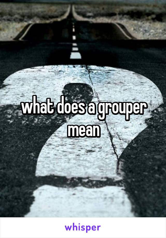 what does a grouper mean